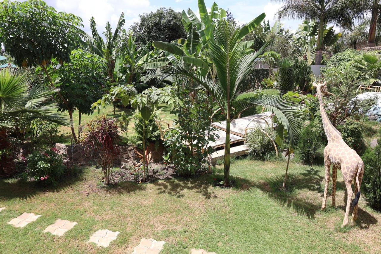 Nanofilter House - Hotel Arusha Luaran gambar